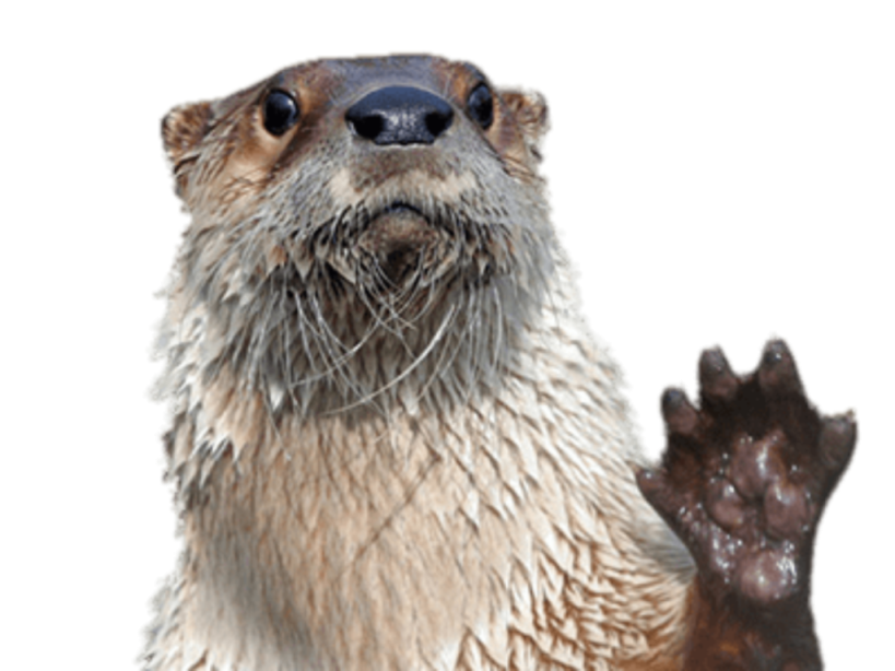 App Manager On-Duty
Curt S.